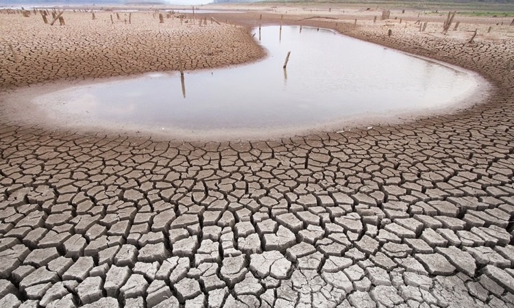La sequía: un desafío creciente para el futuro del agua en CDMX - Boletines